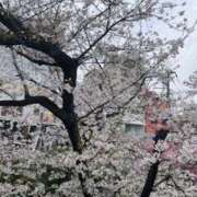 ヒメ日記 2025/04/03 21:32 投稿 涼子 クラブルージュ