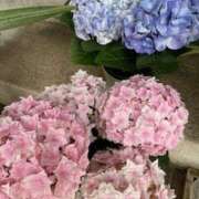 ヒメ日記 2025/05/09 22:22 投稿 涼子 クラブルージュ