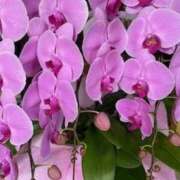 ヒメ日記 2025/05/24 20:32 投稿 涼子 クラブルージュ