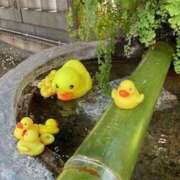 涼子 本日も クラブルージュ