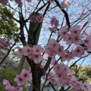 ヒメ日記 2026/03/22 11:40 投稿 涼子 クラブルージュ