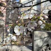 ヒメ日記 2026/03/24 23:01 投稿 涼子 クラブルージュ