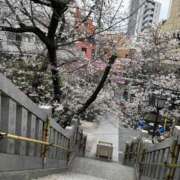 ヒメ日記 2026/03/27 21:10 投稿 涼子 クラブルージュ