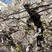 ヒメ日記 2026/04/02 11:20 投稿 涼子 クラブルージュ