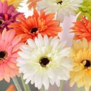 ヒメ日記 2025/09/20 07:30 投稿 阿部しのぶ 五十路マダム 仙台店