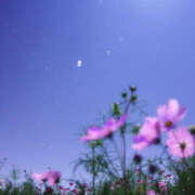 ヒメ日記 2025/10/06 01:28 投稿 阿部しのぶ 五十路マダム 仙台店