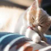 ヒメ日記 2025/11/02 02:20 投稿 阿部しのぶ 五十路マダム 仙台店