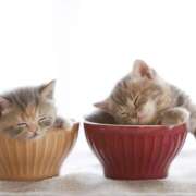 ヒメ日記 2025/11/02 02:28 投稿 阿部しのぶ 五十路マダム 仙台店