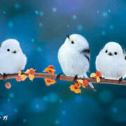 ヒメ日記 2025/12/08 20:54 投稿 阿部しのぶ 五十路マダム 仙台店