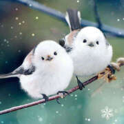 阿部しのぶ Eさん♪ 五十路マダム 仙台店