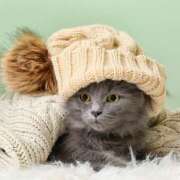 ヒメ日記 2026/01/25 21:32 投稿 阿部しのぶ 五十路マダム 仙台店