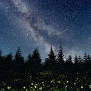 ヒメ日記 2025/06/30 08:44 投稿 浅倉京子 五十路マダム 仙台店