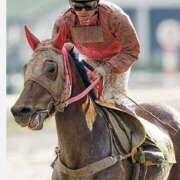 浅倉京子 9月〜10月☆秋麗（あきうらら） 五十路マダム 仙台店