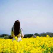 浅倉京子 二月☆如月 五十路マダム 仙台店