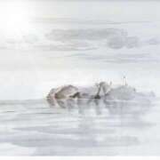 浅倉京子 ─雲を見上げる勇気─ 五十路マダム 仙台店