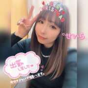 ヒメ日記 2024/12/24 10:23 投稿 せいら ダイスキ