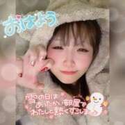 ヒメ日記 2025/01/10 06:49 投稿 せいら ダイスキ