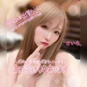 ヒメ日記 2025/01/23 09:24 投稿 せいら ダイスキ