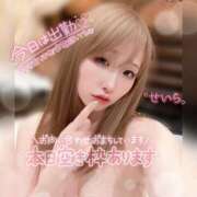 ヒメ日記 2025/01/24 19:15 投稿 せいら ダイスキ