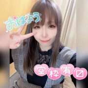 ヒメ日記 2025/01/29 09:04 投稿 せいら ダイスキ