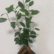 ヒメ日記 2025/07/09 17:55 投稿 せいら ダイスキ