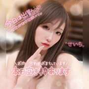 ヒメ日記 2025/08/02 07:15 投稿 せいら ダイスキ