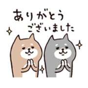 ヒメ日記 2024/12/21 16:48 投稿 橋本若菜 五十路マダム 仙台店