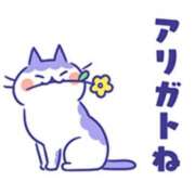 ヒメ日記 2025/02/22 14:52 投稿 橋本若菜 五十路マダム 仙台店