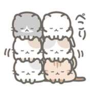 ヒメ日記 2025/02/25 16:12 投稿 橋本若菜 五十路マダム 仙台店