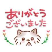 ヒメ日記 2025/03/20 15:04 投稿 橋本若菜 五十路マダム 仙台店