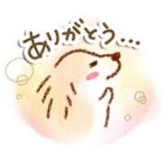 ヒメ日記 2025/03/20 15:20 投稿 橋本若菜 五十路マダム 仙台店