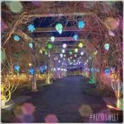 ヒメ日記 2025/03/30 20:54 投稿 橋本若菜 五十路マダム 仙台店