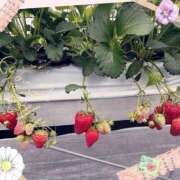 ヒメ日記 2025/04/03 15:30 投稿 橋本若菜 五十路マダム 仙台店