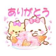 ヒメ日記 2025/04/07 16:22 投稿 橋本若菜 五十路マダム 仙台店