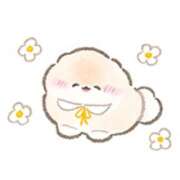 ヒメ日記 2025/04/11 14:18 投稿 橋本若菜 五十路マダム 仙台店