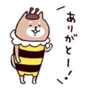 ヒメ日記 2025/04/11 20:52 投稿 橋本若菜 五十路マダム 仙台店