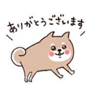 ヒメ日記 2025/04/11 21:02 投稿 橋本若菜 五十路マダム 仙台店