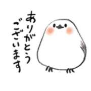 ヒメ日記 2025/04/30 14:02 投稿 橋本若菜 五十路マダム 仙台店