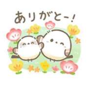 ヒメ日記 2025/05/26 16:16 投稿 橋本若菜 五十路マダム 仙台店