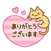 ヒメ日記 2025/05/28 14:20 投稿 橋本若菜 五十路マダム 仙台店