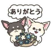 ヒメ日記 2025/06/06 14:10 投稿 橋本若菜 五十路マダム 仙台店