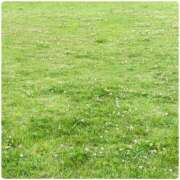 ヒメ日記 2025/06/11 12:28 投稿 橋本若菜 五十路マダム 仙台店