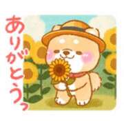 ヒメ日記 2025/08/02 15:04 投稿 橋本若菜 五十路マダム 仙台店