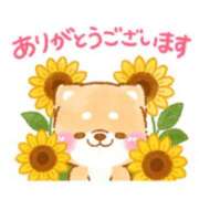 ヒメ日記 2025/08/02 15:12 投稿 橋本若菜 五十路マダム 仙台店