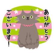 ヒメ日記 2025/08/02 19:14 投稿 橋本若菜 五十路マダム 仙台店