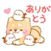 ヒメ日記 2025/09/12 16:06 投稿 橋本若菜 五十路マダム 仙台店