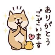 ヒメ日記 2025/09/16 16:34 投稿 橋本若菜 五十路マダム 仙台店