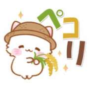 ヒメ日記 2025/10/10 16:36 投稿 橋本若菜 五十路マダム 仙台店