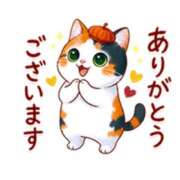 ヒメ日記 2025/10/17 14:24 投稿 橋本若菜 五十路マダム 仙台店