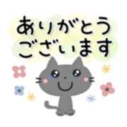 ヒメ日記 2025/11/14 21:14 投稿 橋本若菜 五十路マダム 仙台店